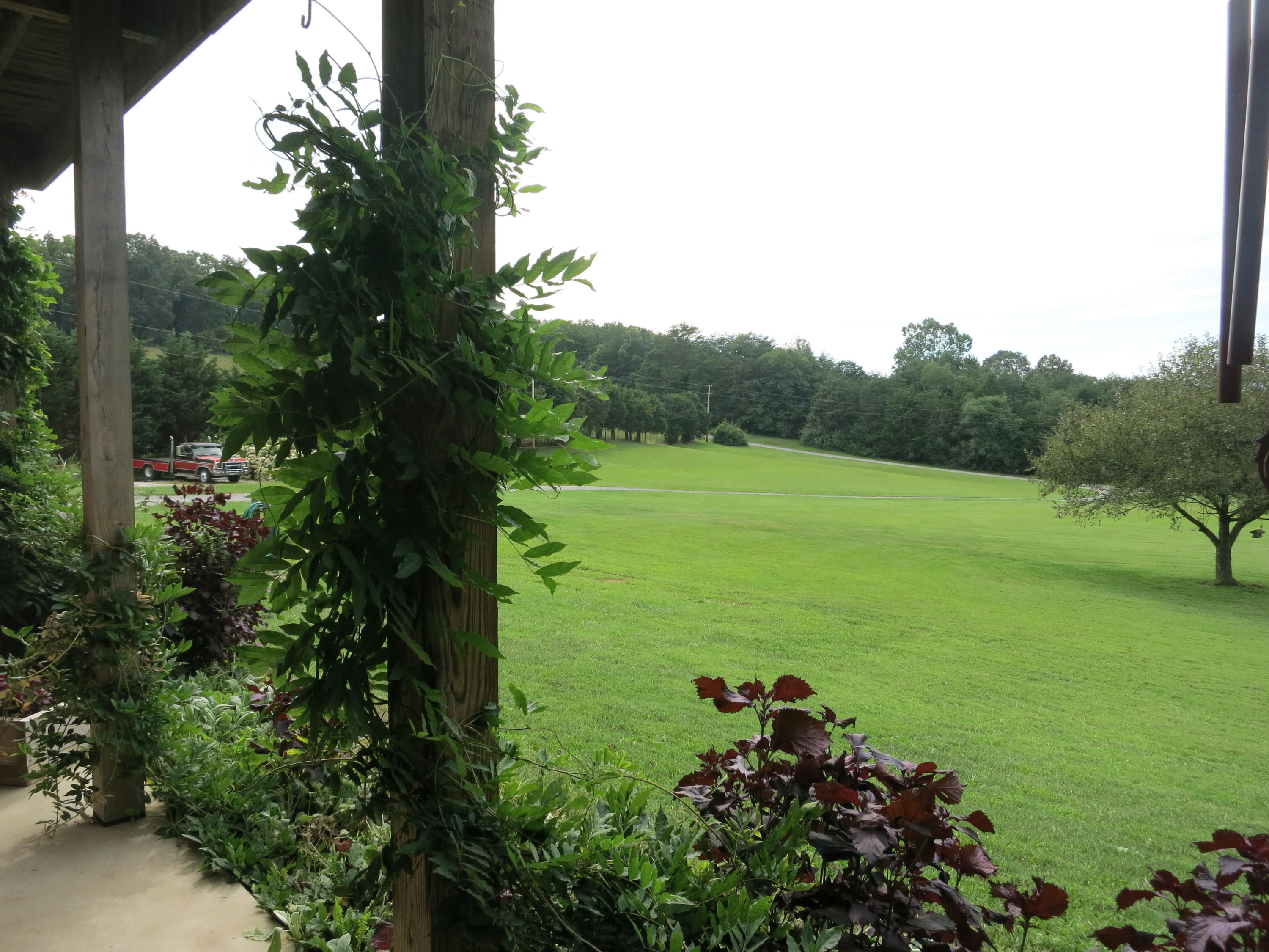 246 Stage Road Buchanan, VA 24066 - Photo 9 of 88 View from lower patio