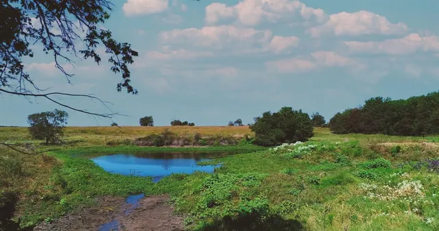a view of a lake with a building in the background