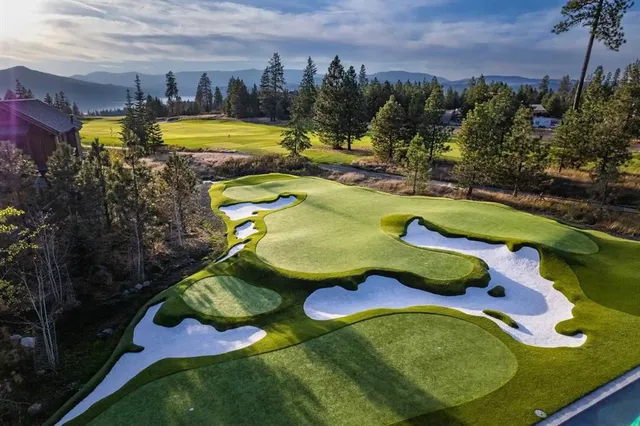 a view of yard with large tree and table