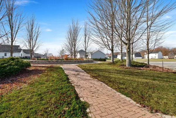a view of a yard with plants and trees