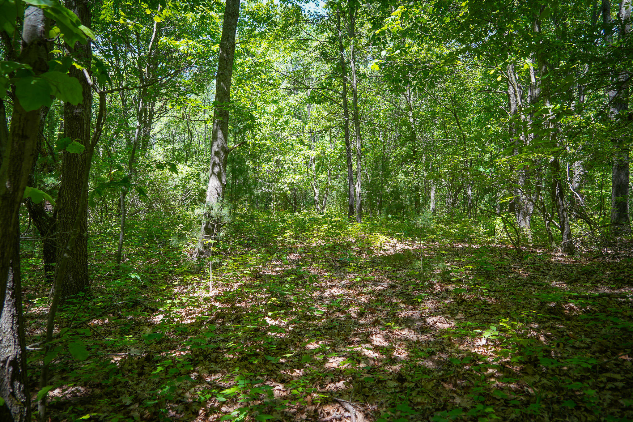 14308 Church Road Howard City, MI 49329 - Photo 27 of 52 DSC00196