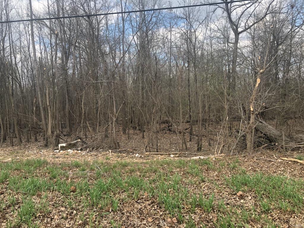 0 Lockhaven Road Godfrey, IL 62035 - Photo 2 of 2