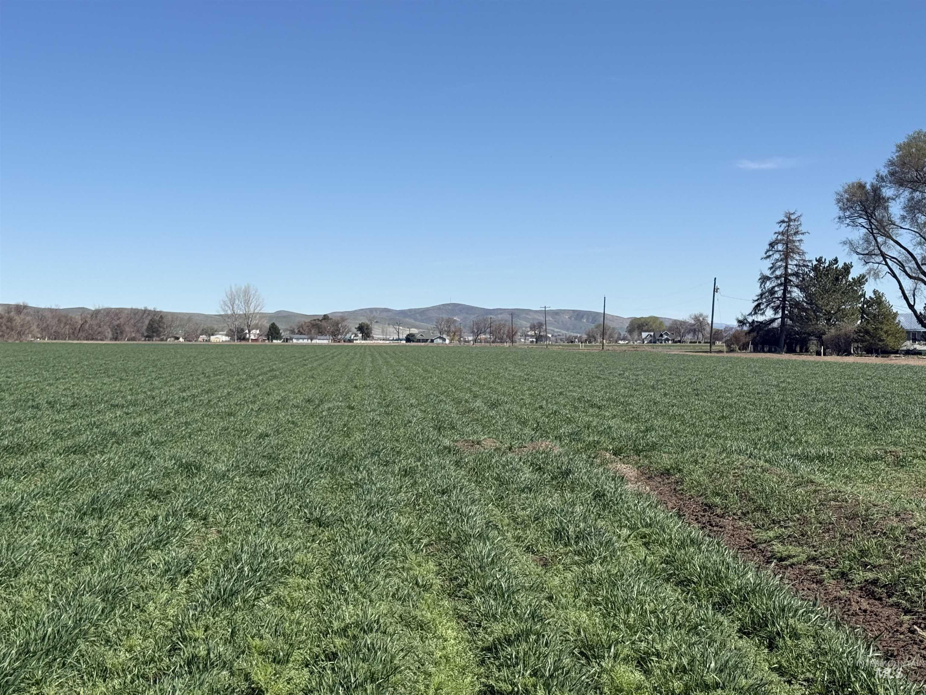 Tbd Ferrel Road Weiser, ID 83672 - Photo 1 of 5 View of grassy yard with a mountain view, a view of countryside, and agricultural area