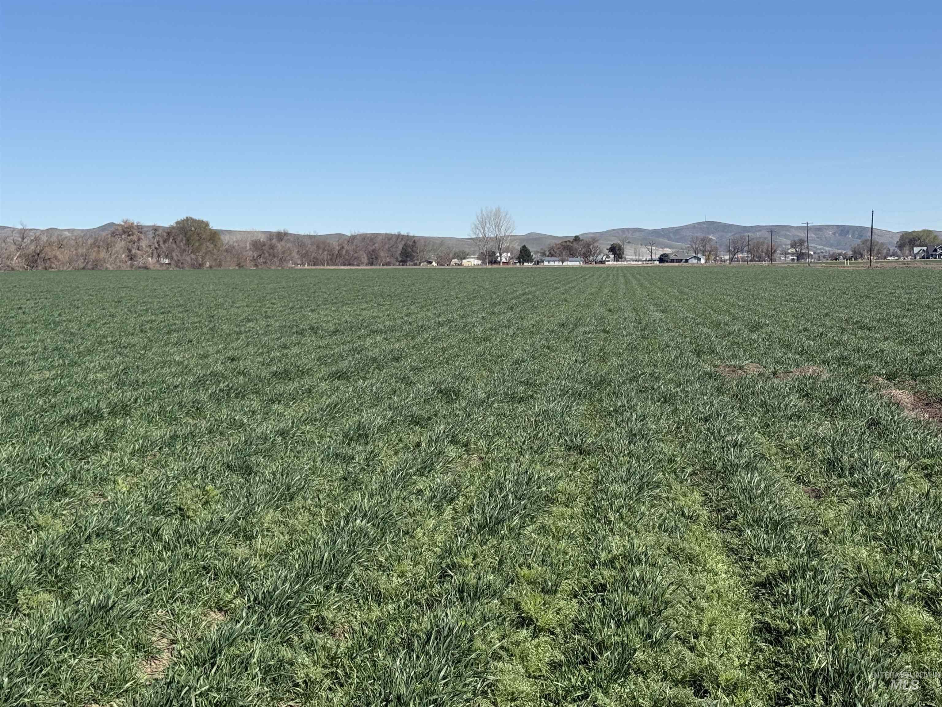 Tbd Ferrel Road Weiser, ID 83672 - Photo 5 of 5 View of green lawn with a mountain view, a view of rural / pastoral area, and agricultural area