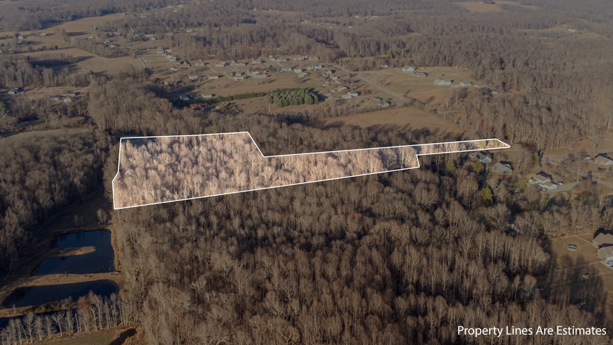 0 Mt Vernon Road Bethpage, TN 37022 - Photo 3 of 11