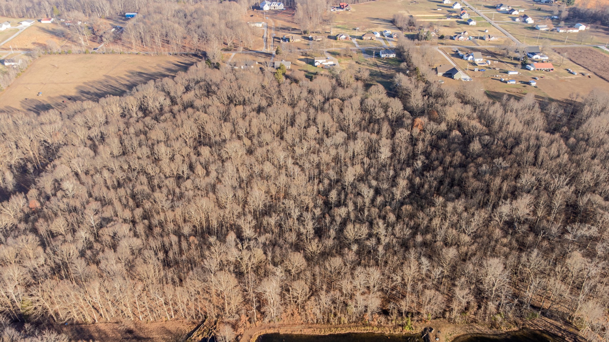 0 Mt Vernon Road Bethpage, TN 37022 - Photo 9 of 11 a view of a yard