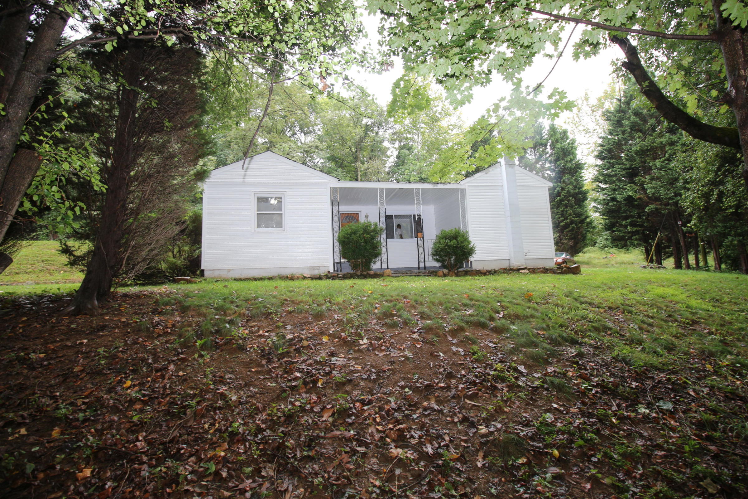 71 Rabbits Way Blue Ridge, VA 24064 - Photo 14 of 23 a view of backyard of house with large trees