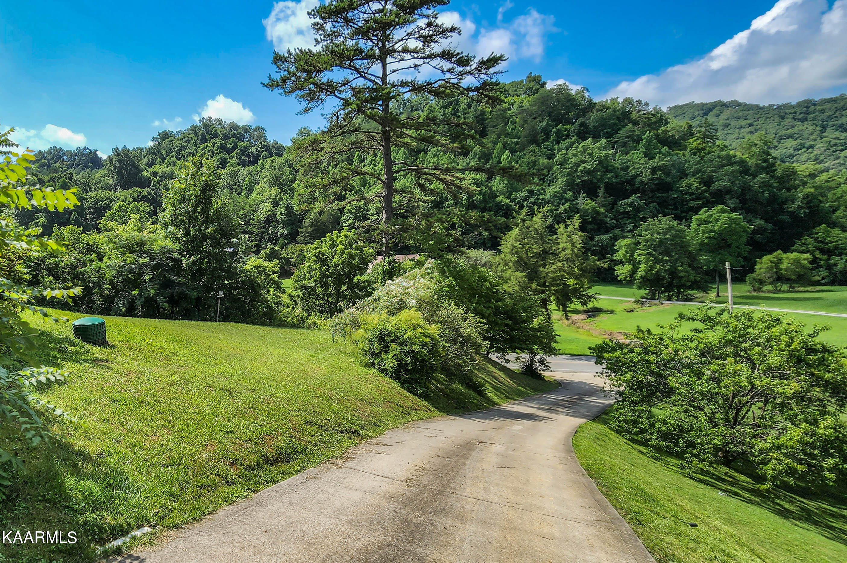 1628 Walker Ford Road Maynardville, TN 37807 - Photo 28 of 39 walker ford frnt yard
