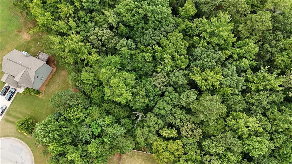305 Vantage Point Locust Grove, GA 30248 - Photo 4 of 17 a view of a yard