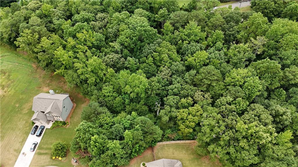 305 Vantage Point Locust Grove, GA 30248 - Photo 5 of 17 a view of a yard in a backyard
