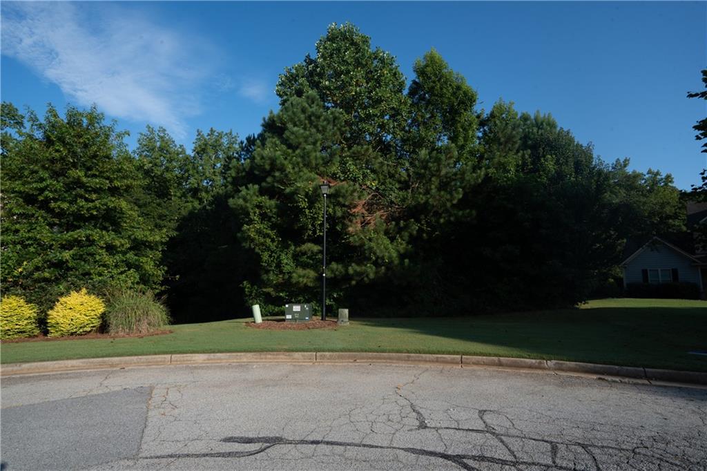 305 Vantage Point Locust Grove, GA 30248 - Photo 9 of 17 a view of a yard