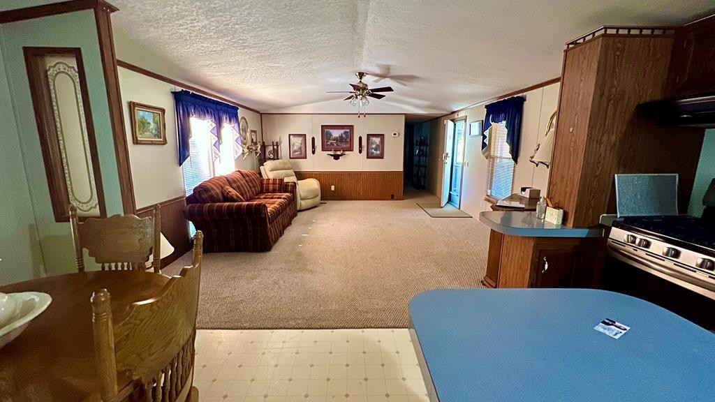106 Pin Hook Road Spring City, TN 37381 - Photo 25 of 37 Gallery Image 25
