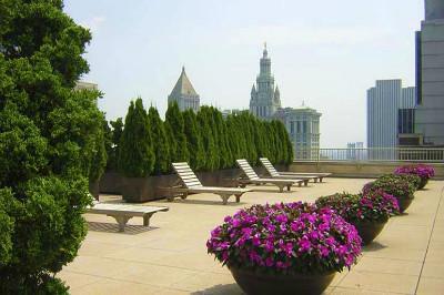 Undisclosed Address Manhattan, NY 10007 - Photo 11 of 15 a view of a outdoor sitting area with furniture