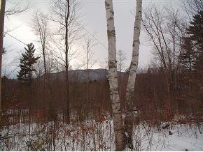 175 Kenney Farm Road Sunderland, VT 05250 - Photo 4 of 4 Gallery Image 4