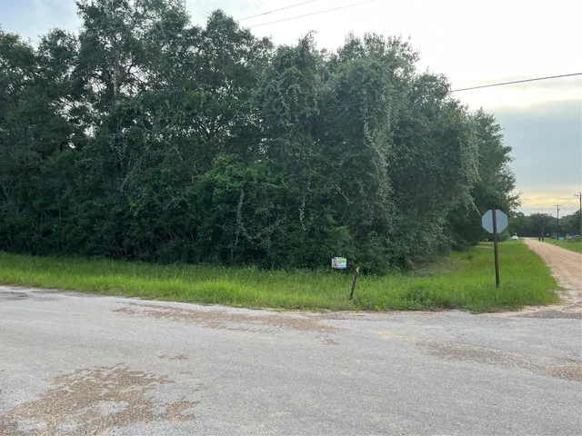 $25,000 | 0 West 6th Street, Sheridan, TX 77475