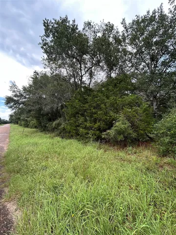 $25,000 | 0 West 6th Street, Sheridan, TX 77475