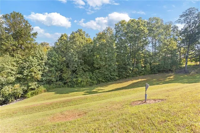 an aerial view of a house with a swimming pool