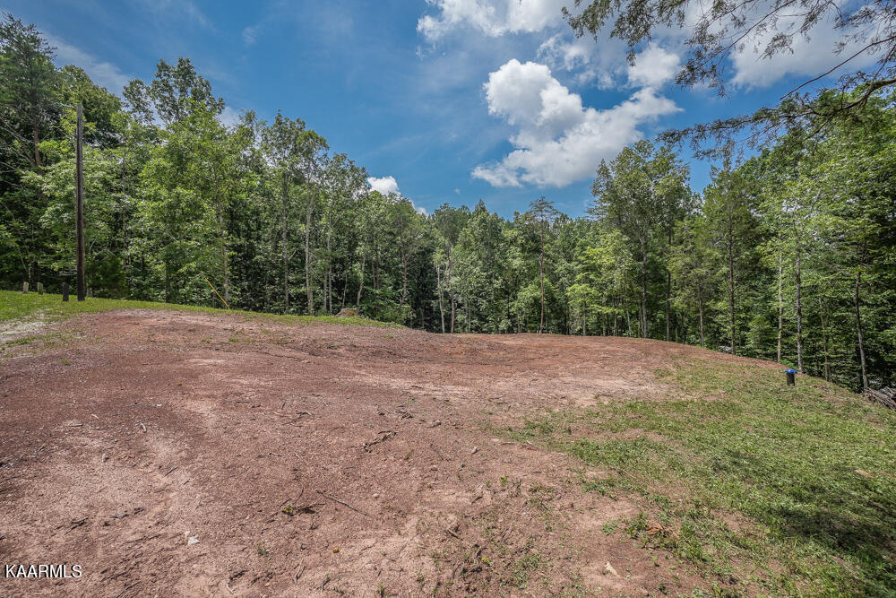 295 Bill Moser Road Vonore, TN 37885 - Photo 1 of 34 DSC08490