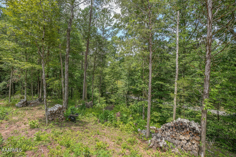 295 Bill Moser Road Vonore, TN 37885 - Photo 11 of 34 DSC08498