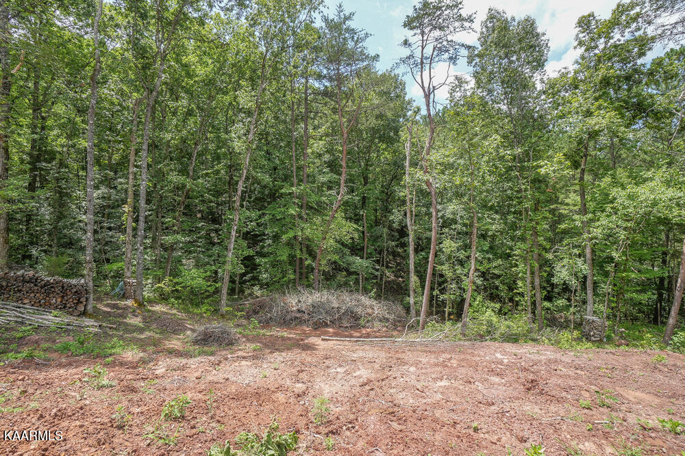 295 Bill Moser Road Vonore, TN 37885 - Photo 13 of 34 DSC08502