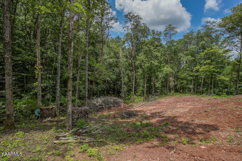 295 Bill Moser Road Vonore, TN 37885 - Photo 15 of 34 DSC08504