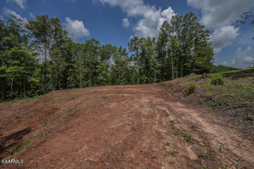 295 Bill Moser Road Vonore, TN 37885 - Photo 16 of 34 DSC08505