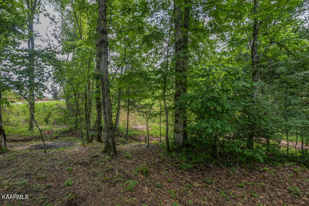 295 Bill Moser Road Vonore, TN 37885 - Photo 18 of 34 DSC08508