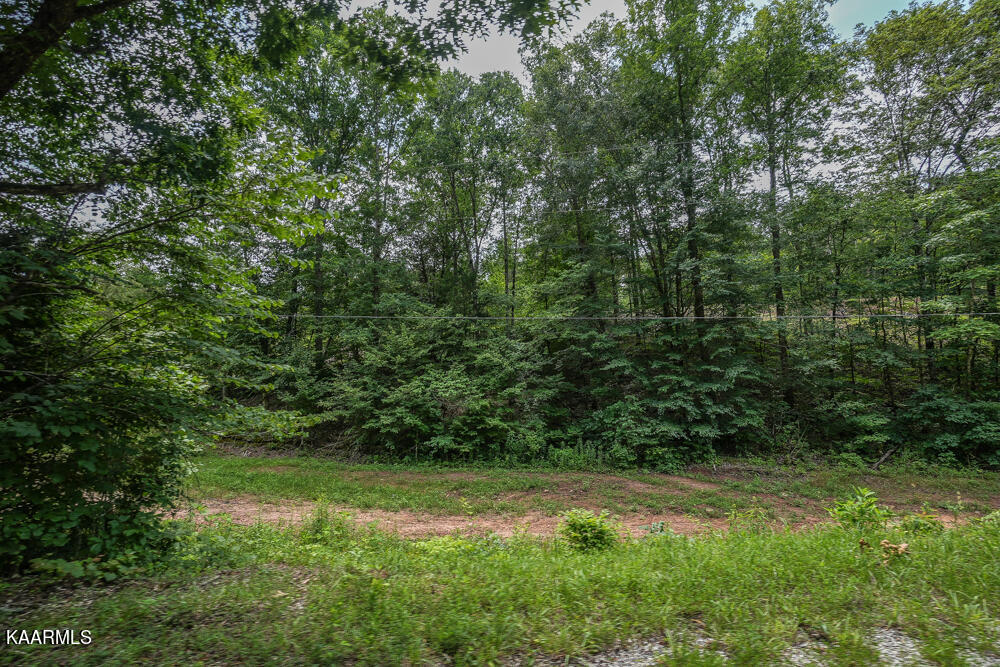 295 Bill Moser Road Vonore, TN 37885 - Photo 19 of 34 DSC08509