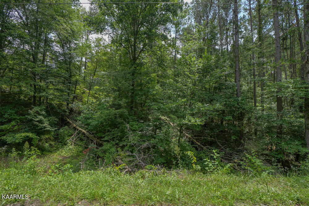 295 Bill Moser Road Vonore, TN 37885 - Photo 20 of 34 DSC08511