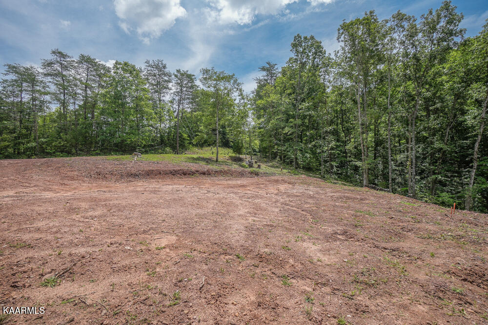 295 Bill Moser Road Vonore, TN 37885 - Photo 3 of 34 DSC08500