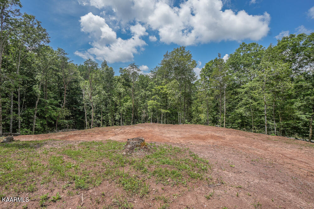 295 Bill Moser Road Vonore, TN 37885 - Photo 4 of 34 DSC08491