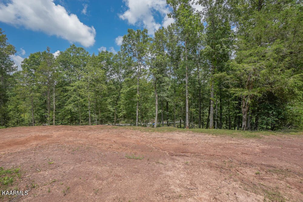 295 Bill Moser Road Vonore, TN 37885 - Photo 5 of 34 DSC08492