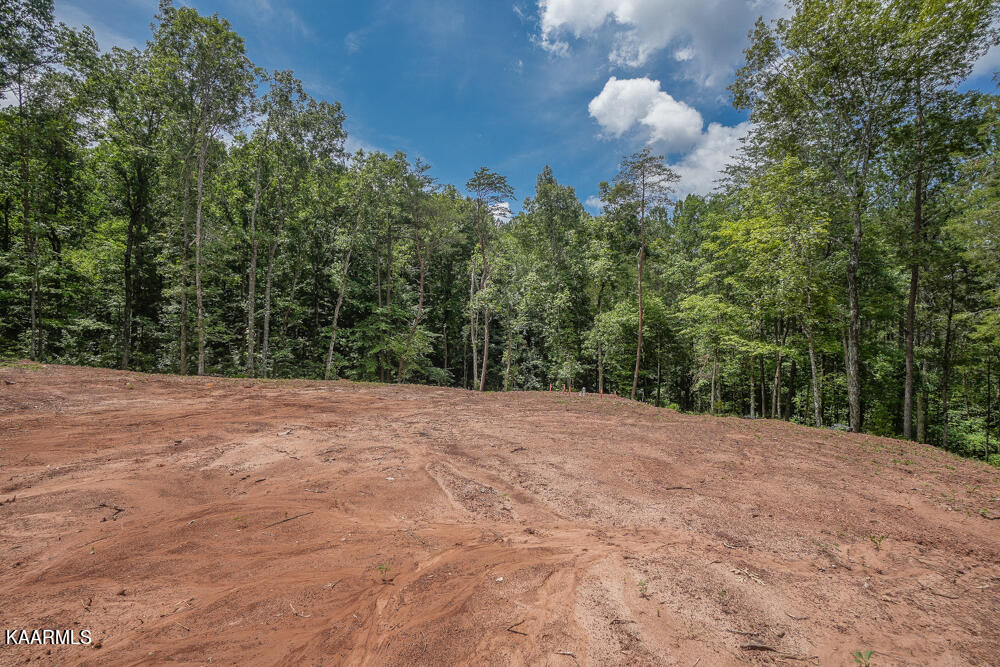 295 Bill Moser Road Vonore, TN 37885 - Photo 6 of 34 DSC08493