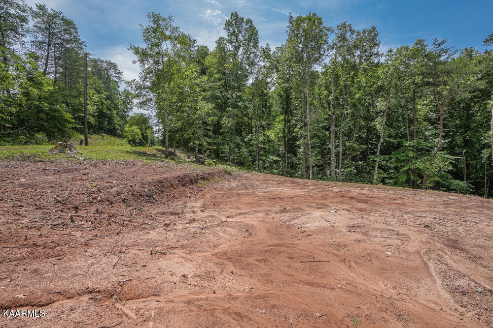 295 Bill Moser Road Vonore, TN 37885 - Photo 7 of 34 DSC08494