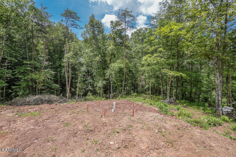 295 Bill Moser Road Vonore, TN 37885 - Photo 8 of 34 DSC08495