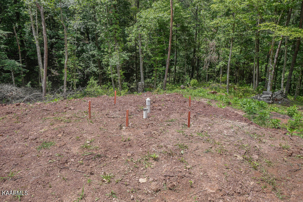295 Bill Moser Road Vonore, TN 37885 - Photo 9 of 34 DSC08496