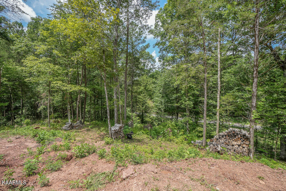 295 Bill Moser Road Vonore, TN 37885 - Photo 10 of 34 DSC08497
