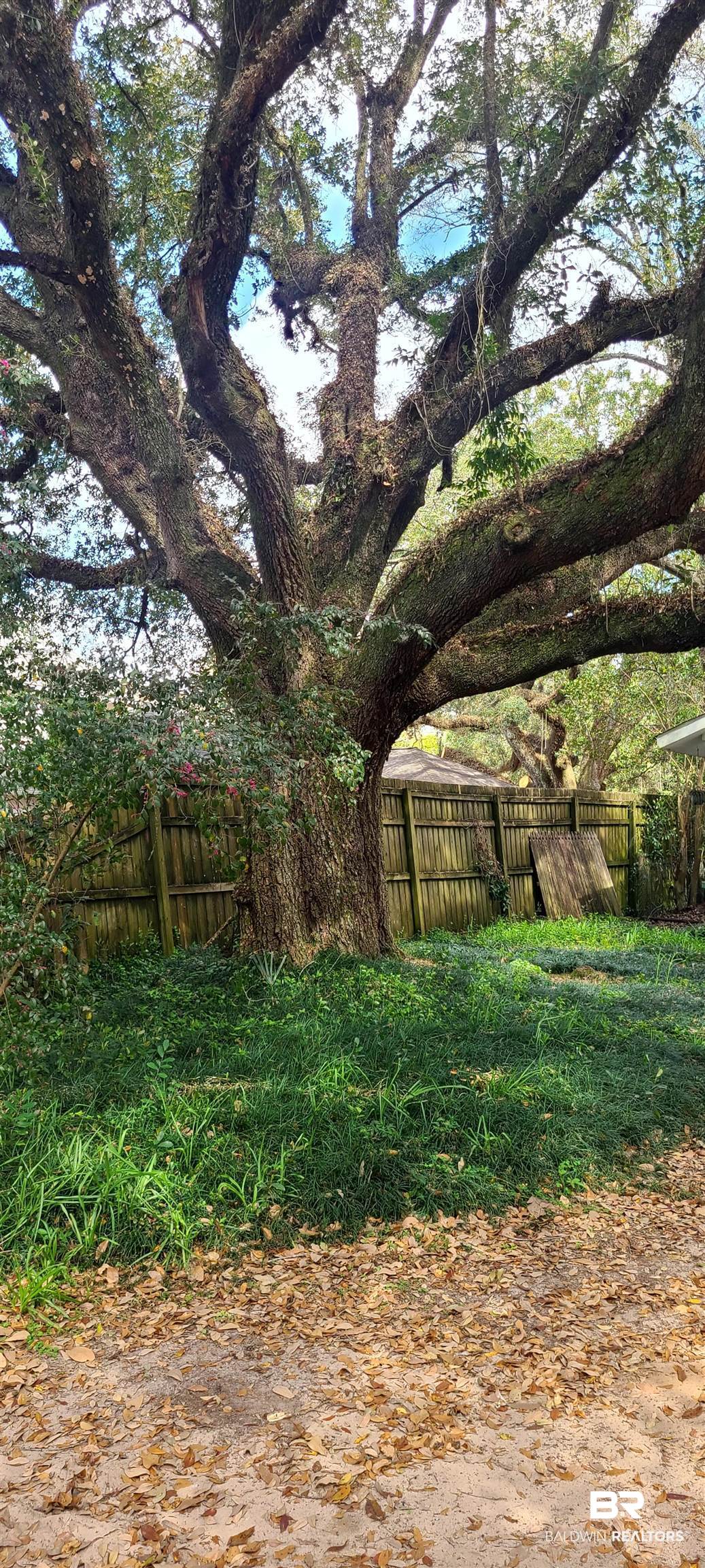 313 East Drive Mobile, AL 36608 - Photo 6 of 6
