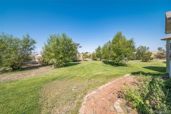 a view of a yard with an trees