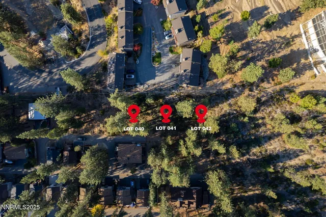 a view of a flower in a garden