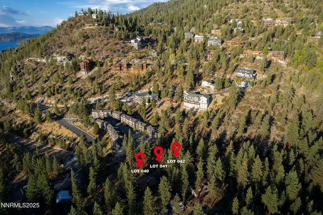 a view of a bunch of trees in a field