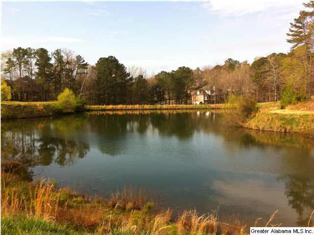 372 Turnberry Road Birmingham, AL 35244 - Photo 2 of 25