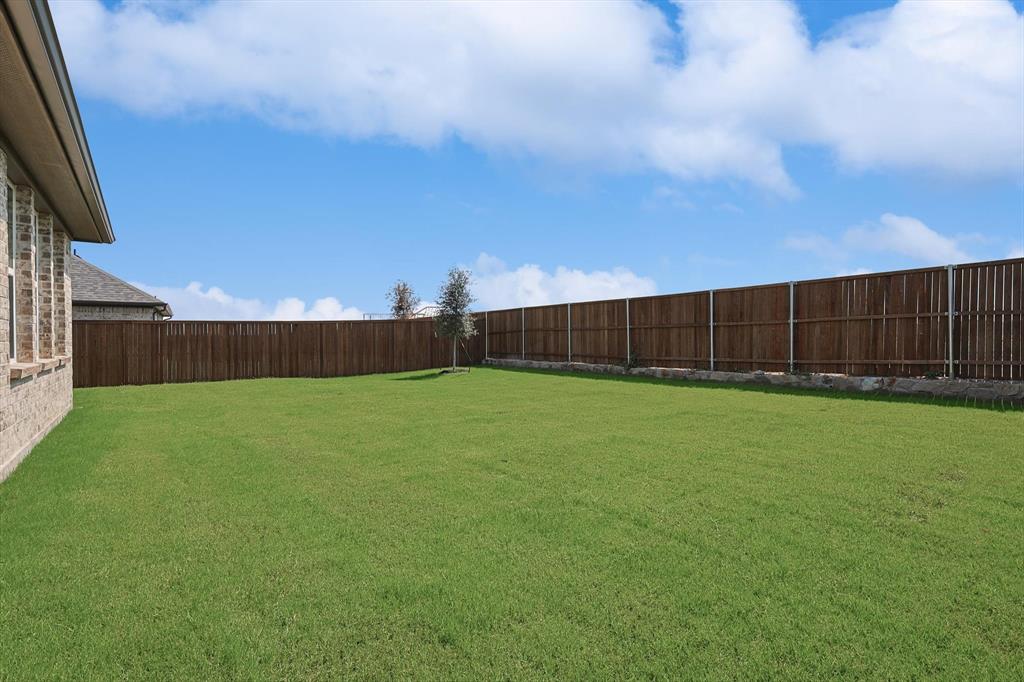 321 Portina Drive Anna, TX 75409 - Photo 34 of 35 a view of a backyard