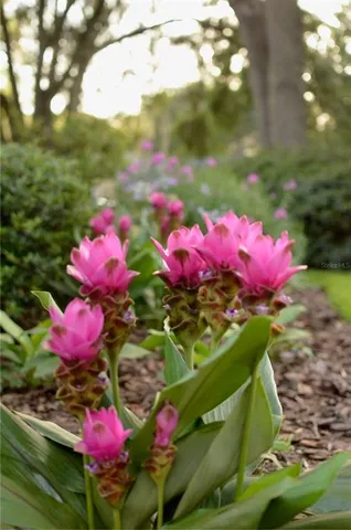 $949,900 | 12047 Northwest 1st Lane, Gainesville, FL 32607