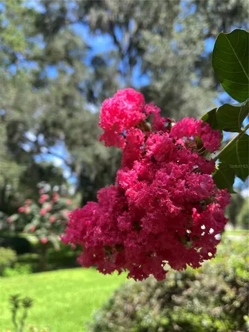 $949,900 | 12047 Northwest 1st Lane, Gainesville, FL 32607