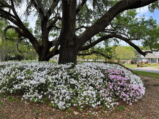 $949,900 | 12047 Northwest 1st Lane, Gainesville, FL 32607