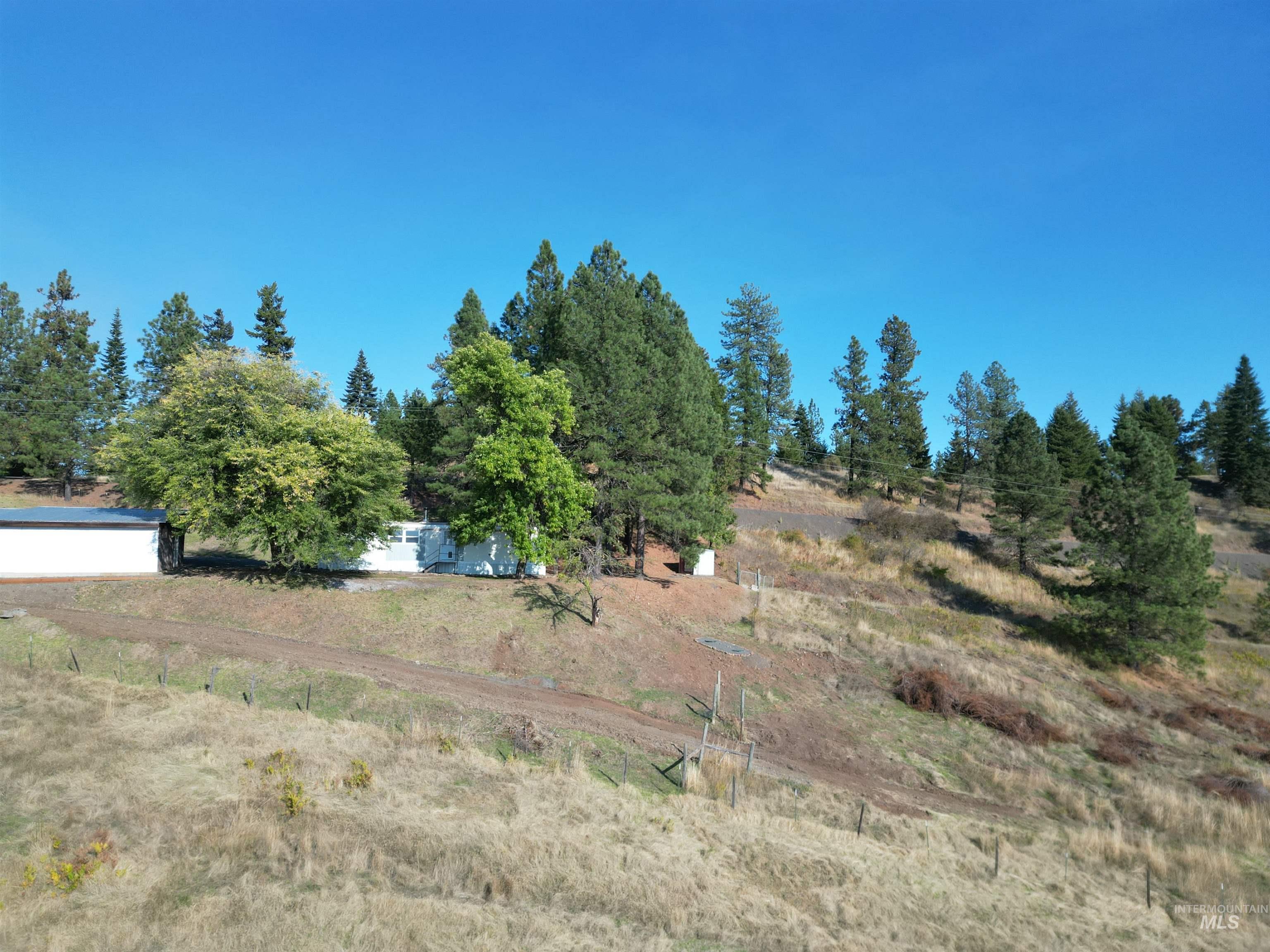 4099 Lakeview Road Orofino, ID 83544 - Photo 35 of 41 Expansive outdoor terrain featuring a white structure, mature trees, and natural landscaping