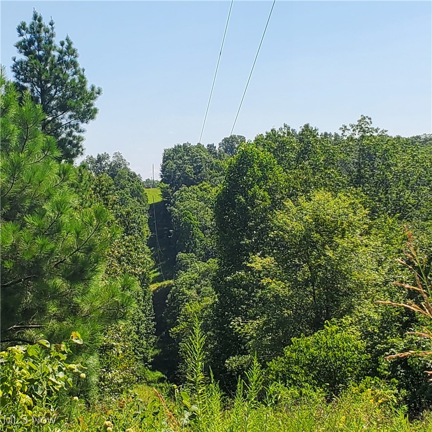 Schoolhouse Road Leon, WV 25123 - Photo 22 of 22 View of tree filled area