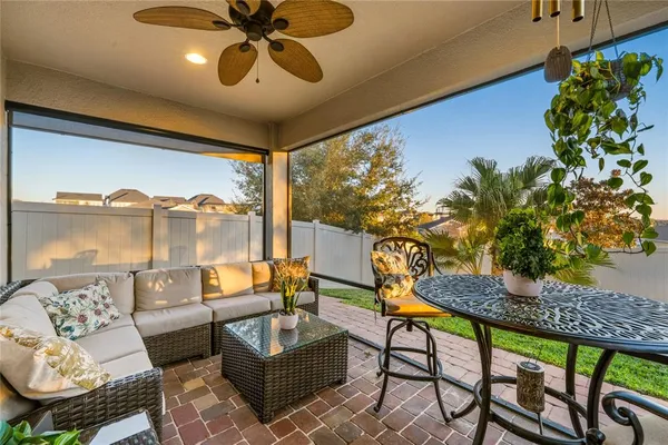 a view of a backyard