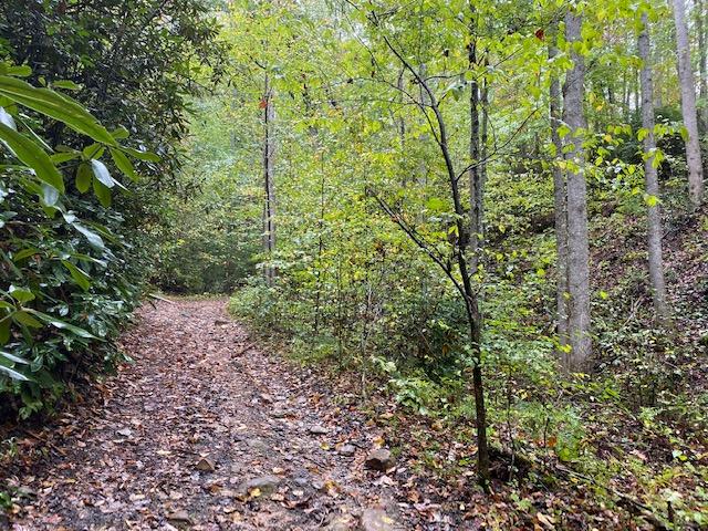 367.46 Flat Branch Road Del Rio, TN 37727 - Photo 8 of 32 IMG_0355